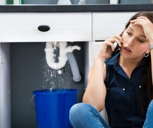 About Sewer Line Pros Lucernemines, PA